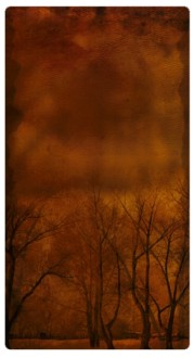 Snowy Trees Website Sidebar