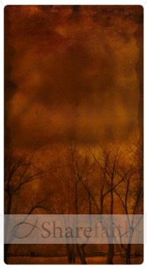 Snowy Trees Website Sidebar