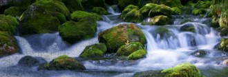 River Website Banner