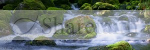River Website Banner