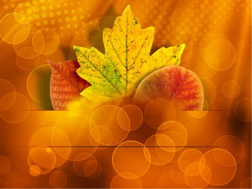 Happy Thanksgiving PowerPoint Template
