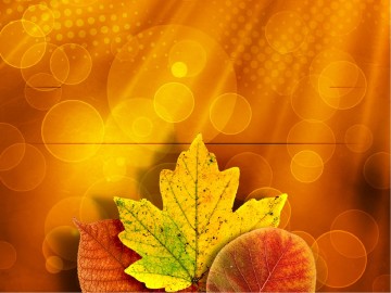 Happy Thanksgiving PowerPoint Template