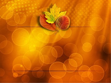 Happy Thanksgiving PowerPoint Template