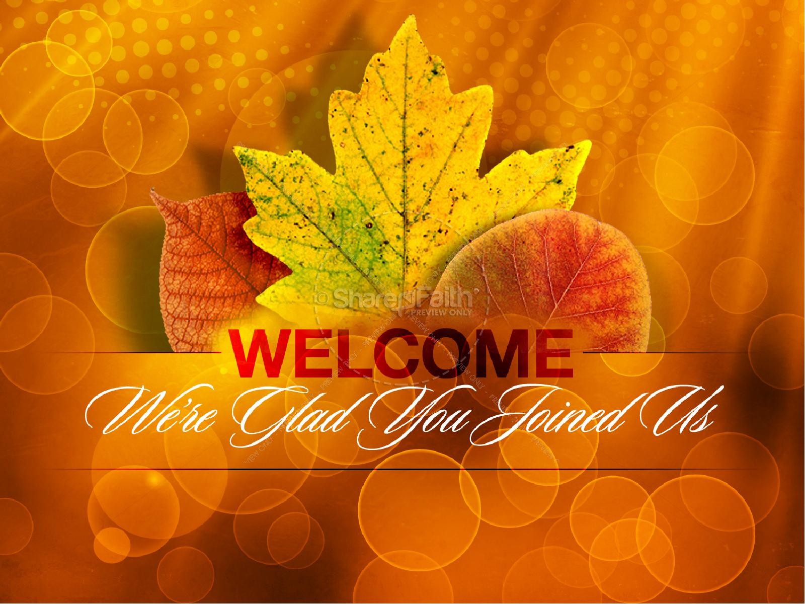 Happy Thanksgiving PowerPoint Template Fall Thanksgiving PowerPoints