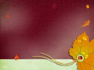 Fall Leaf Worship Background Slide