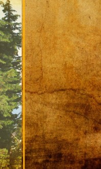 Forest Theme Banner Widget