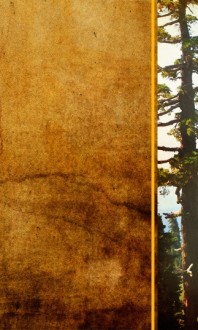 Forest Tree Banner Widget