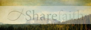 Mountain View Website Banner