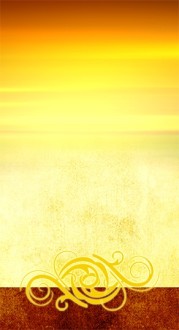 Elegant Banner Widget