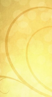 New Year Light Banner Widget