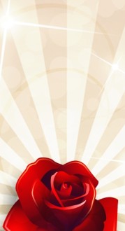Red Rose Banner Widget