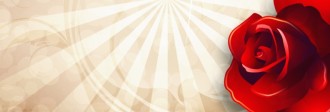 Red Rose Website Banner