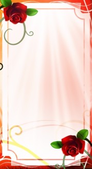 Two Roses Banner Widgets