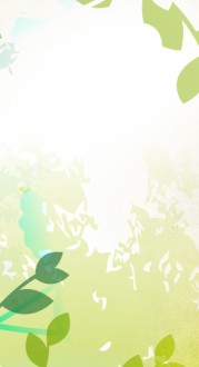 Spring Light Banner Widget