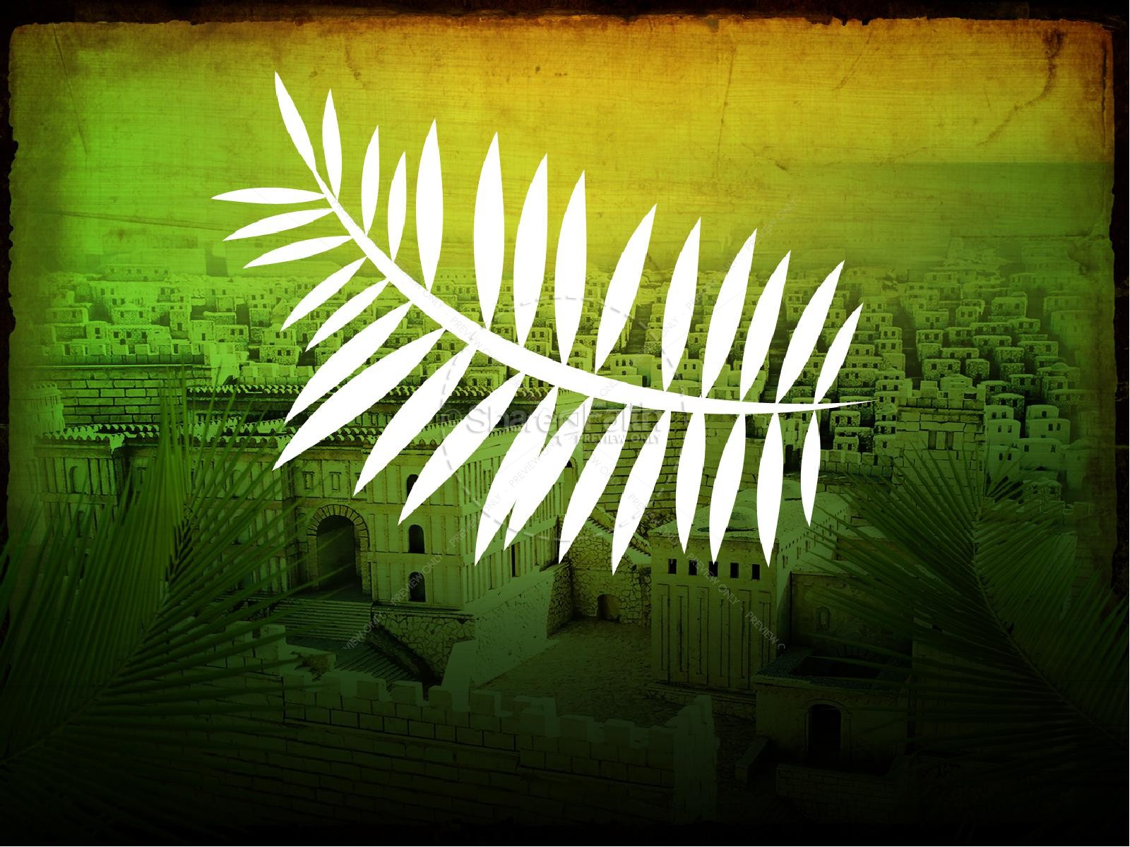a white palm branch is displayed against a picture of the city of Jerusalem