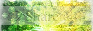 Spring Light Website Banner