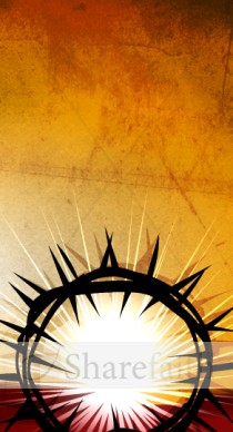 Thorns Website Sidebar