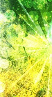 Alive Website Sidebar