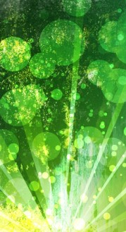 Green Rays Website Sidebar