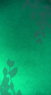 Green Website Sidebar