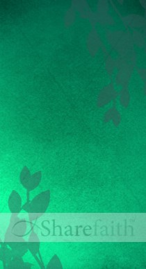 Green Website Sidebar