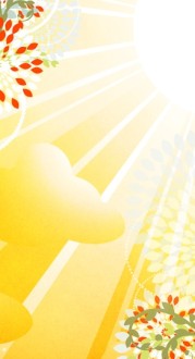 Yellow Rays Website Sidebar