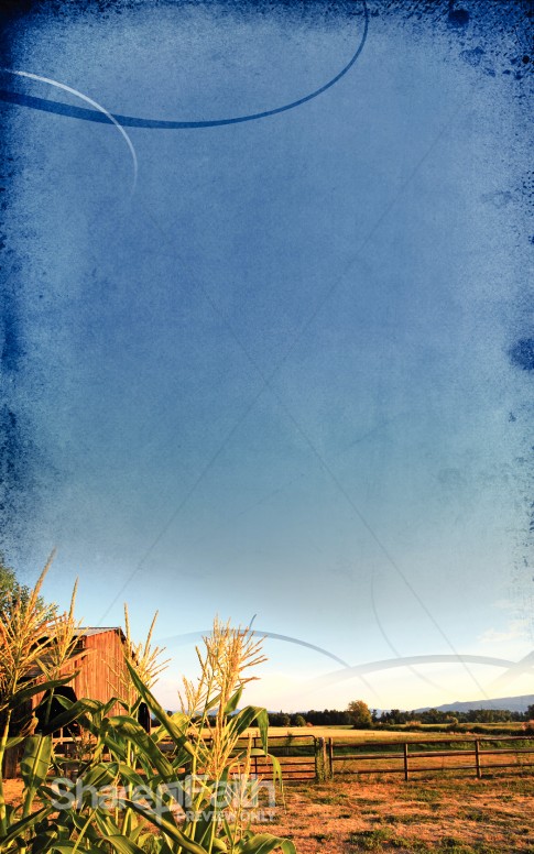 Field Church Bulletin
