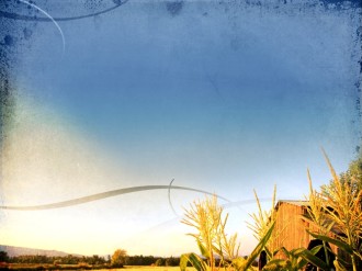 Farm Worship Background