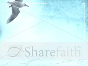 Seagull Worship Background