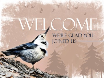 Creation Cries Out PowerPoint