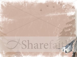 Bird Background