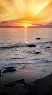 Ocean View Website Sidebar