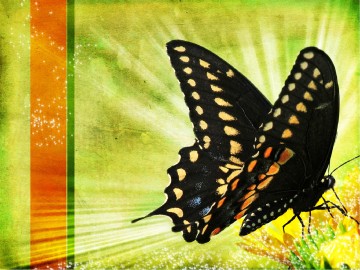 New Life PowerPoint