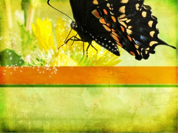 New Life PowerPoint