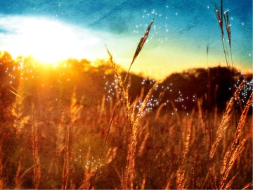Be Still My Soul PowerPoint