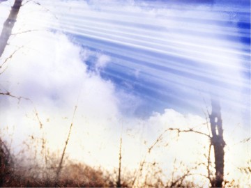 Every Knee Will Bow