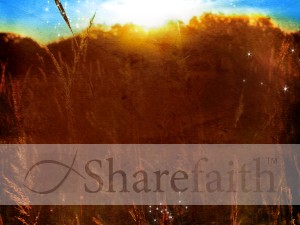 Nature Field Worship Background