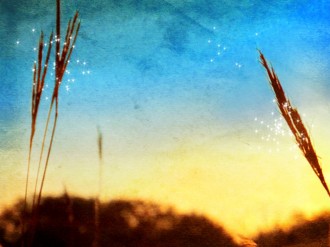 Wheat Worship Background