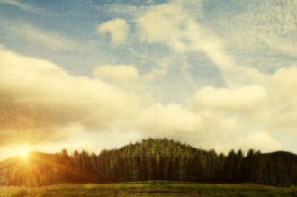 Nature Field Worship Video Loop