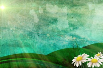 Flower Field Worship Video 