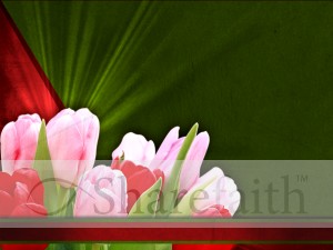Tulip Flower Worship Background