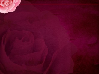Rose Worship Template