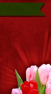 Mother's Day Website Sidebar