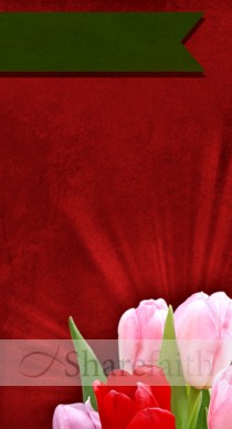 Mother's Day Website Sidebar