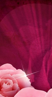 Rose Website Sidebar