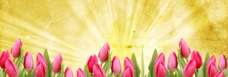Tulip Website Banner Template