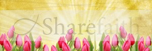 Tulip Website Banner Template
