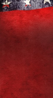 Stars and Stripes Website Sidebar