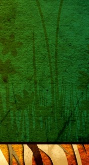 Growth Website Sidebar