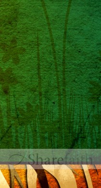 Growth Website Sidebar